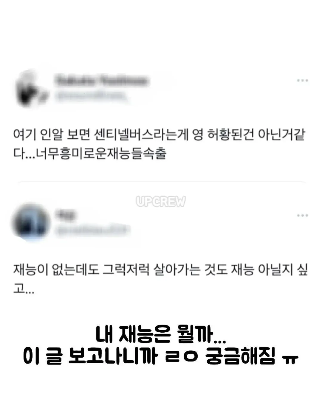 동생이 두부장인.jpg