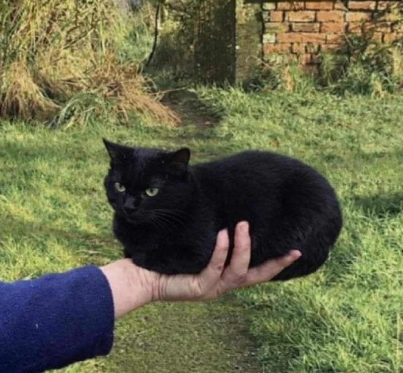 혼자 모험하는건 위험하단다