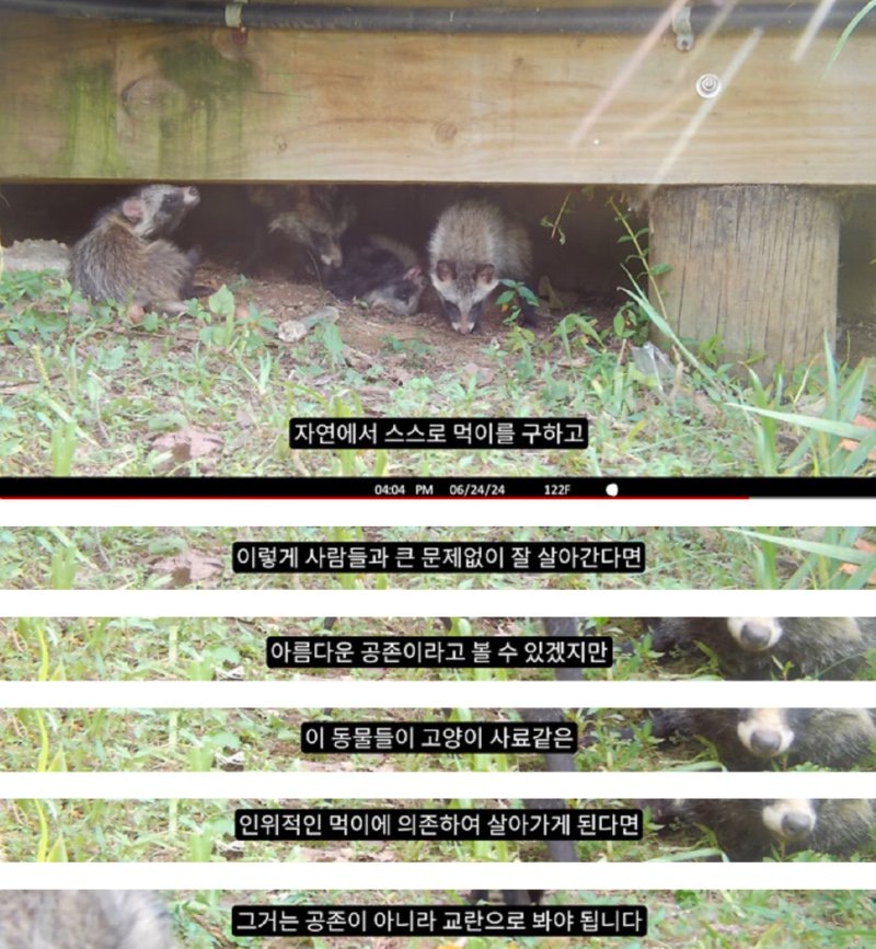 아름다운 공존과 돌봄, 그리고 그다지 아름답지 못한..