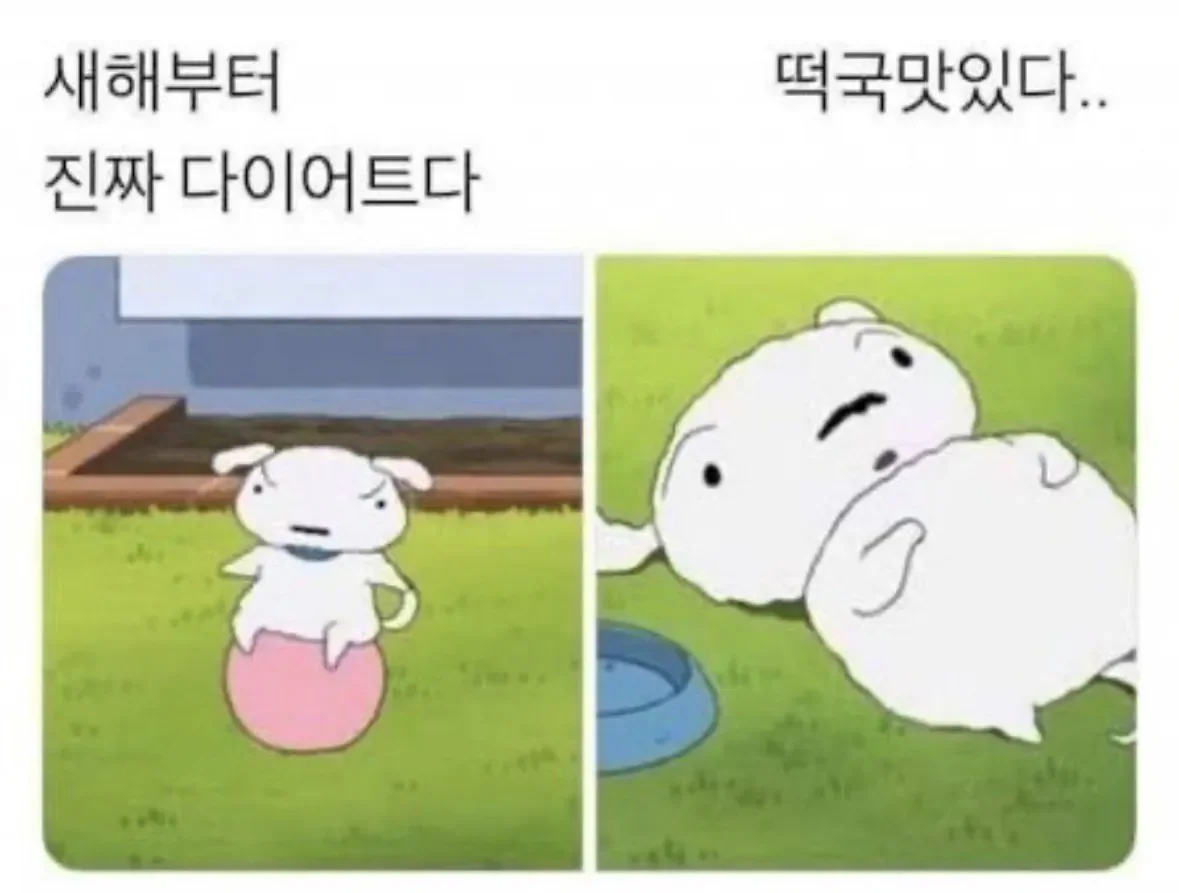 새해부터 진짜 다이어트다