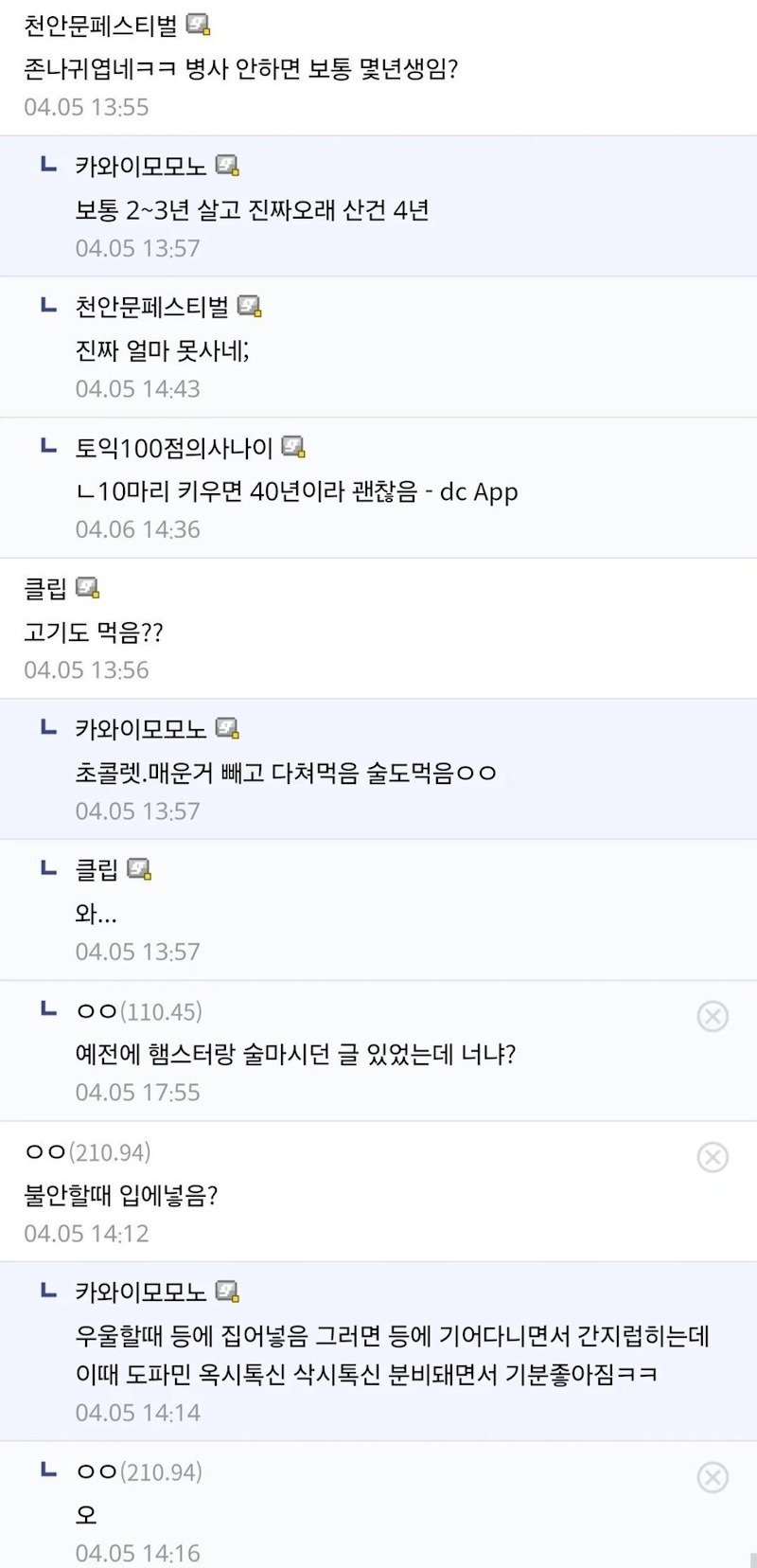 10년간 햄스터 키우기 한우물만 판 디시인