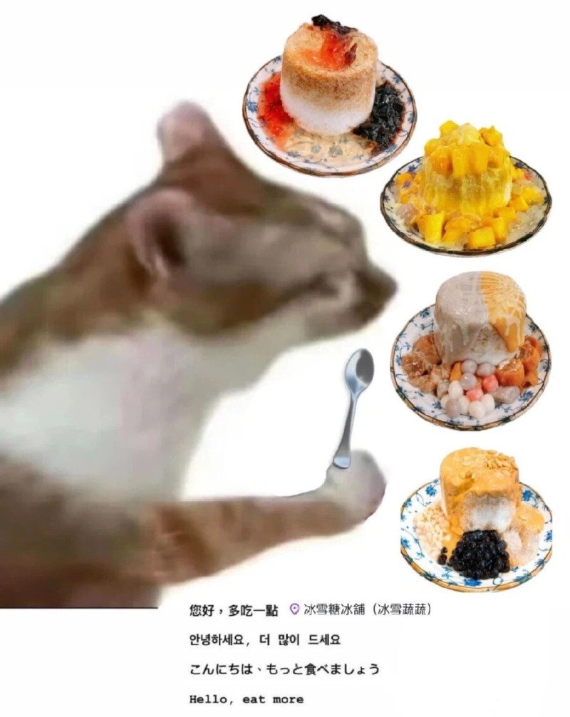 대만 여행 한다고 하면 댓글 달아주는 대만 사람들