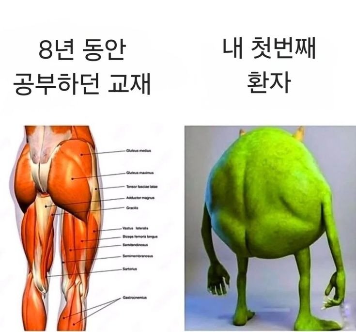 의사가 8년동안 공부해도 소용없는 이유