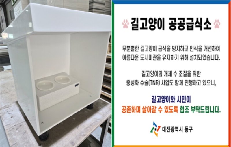 튀르키예에서 이스탄불 말고도 길고양이 피딩 규제하는 곳이