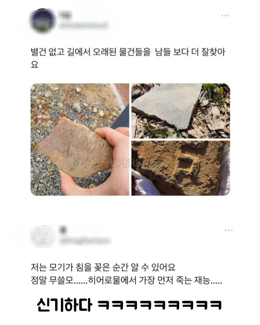 동생이 두부장인.jpg
