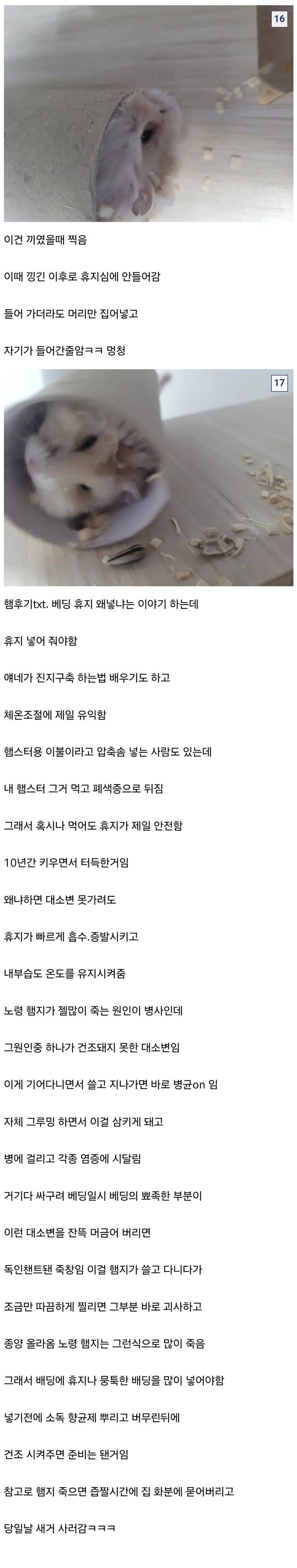 10년간 햄스터 키우기 한우물만 판 디시인