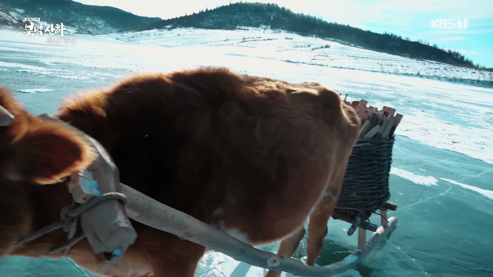 kbs 북한 최신 영상.jpg