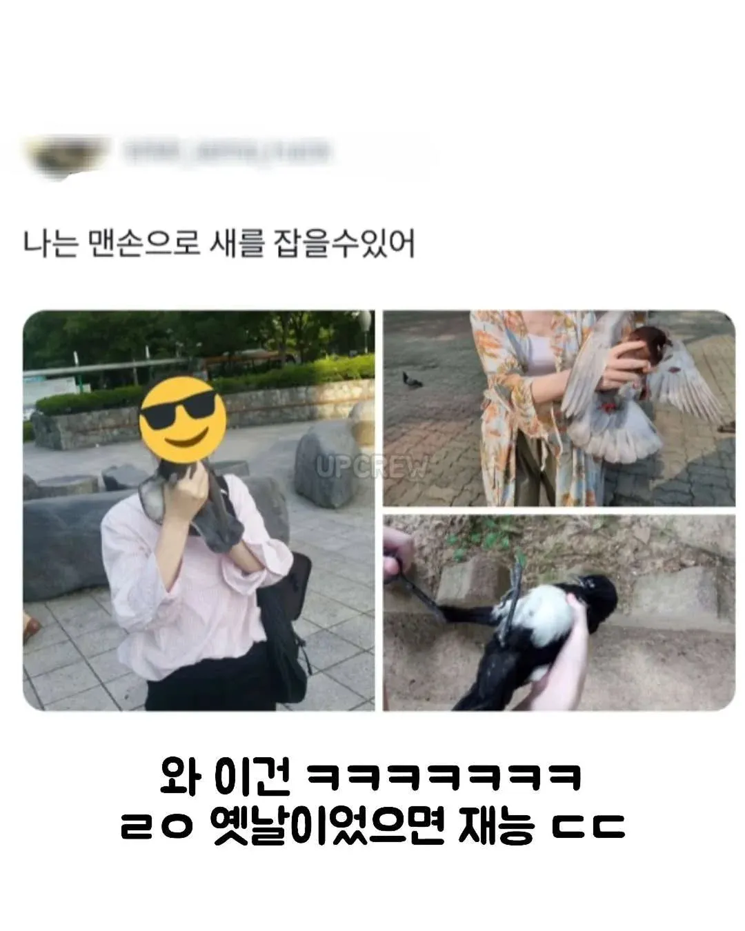 동생이 두부장인.jpg