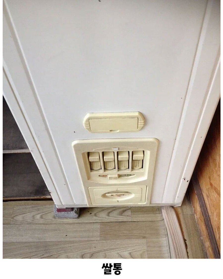 요즘 2030은 모르는 가구