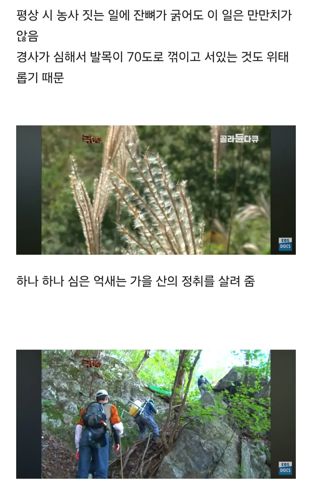 등산로가 만들어지는 과정
