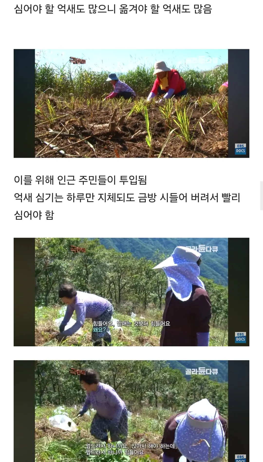 등산로가 만들어지는 과정