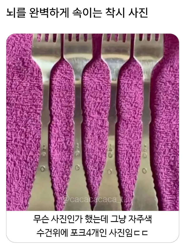 뇌를 완벽하게 속이는 착시 사진.jpg