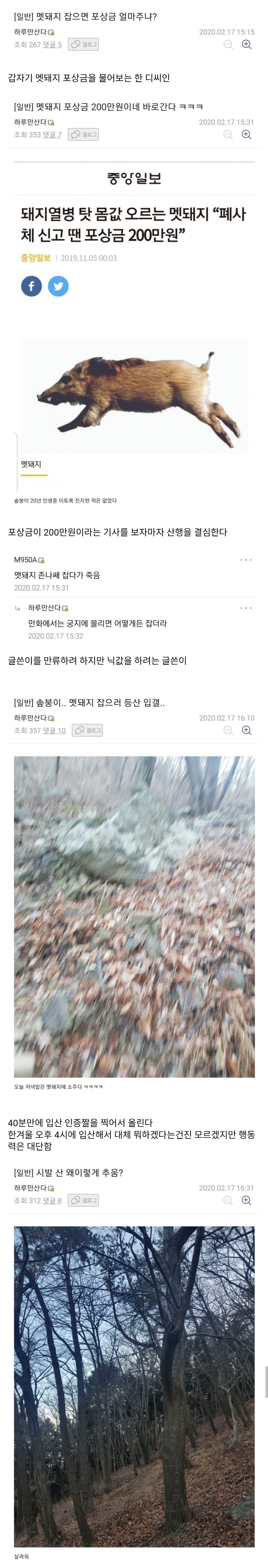 멧돼지 잡으러 산으로 간 디씨인