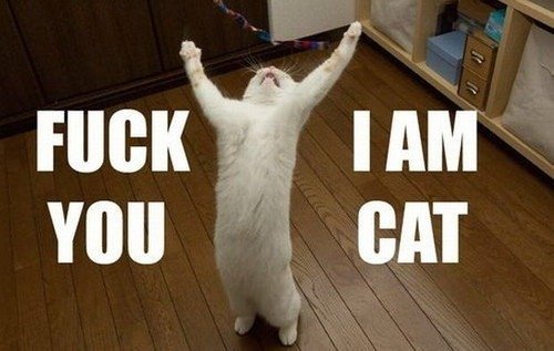 귀여운 거 몇 장 보고들 가쇼.