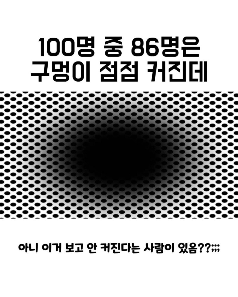귀여운 거 몇 장 보고들 가쇼.