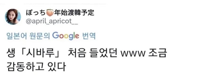 한국 택시에 감동받은 일본인