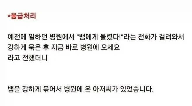 뱀에게 물렸을때