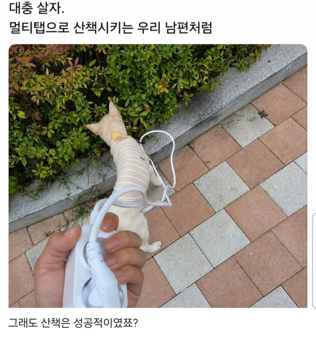 대충 살자