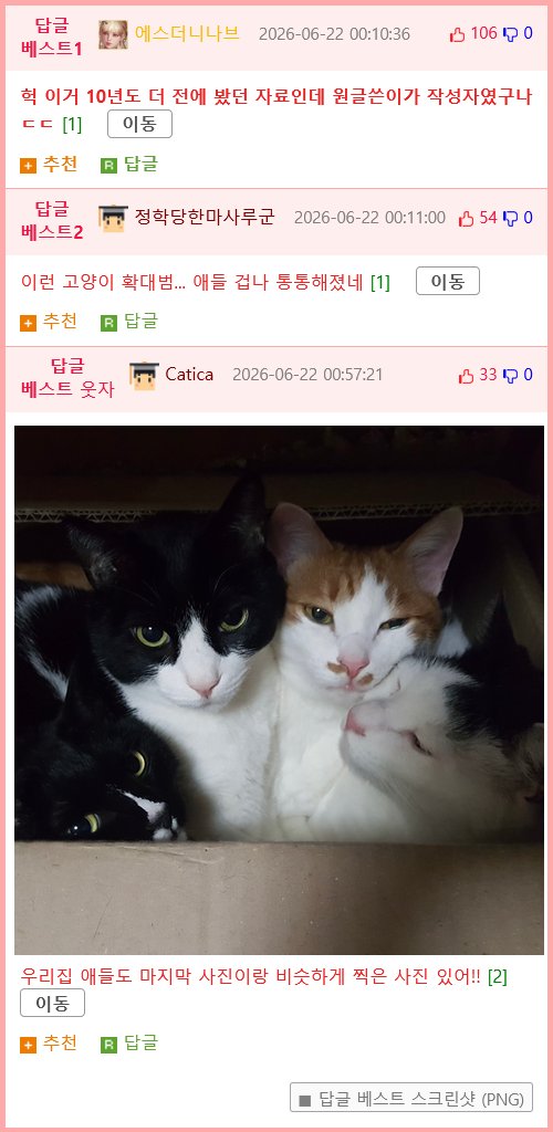 산에서 버려졌던 고양이 구출했던 아빠