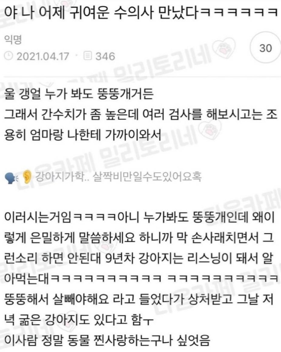 야 나 어제 귀여운 수의사 만났다 ㅋㅋㅋㅋㅋㅋㅋ.jpg