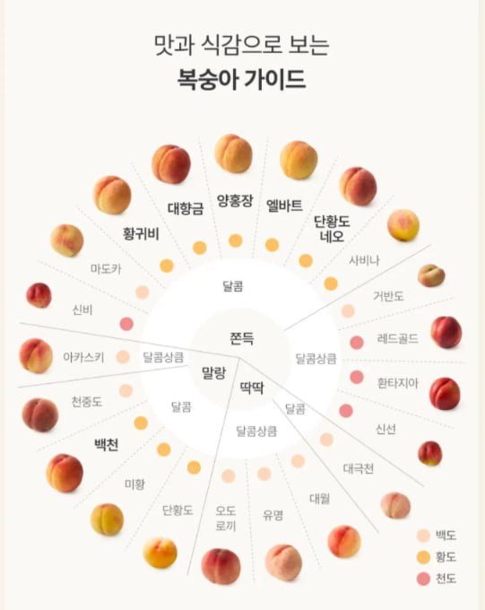 복숭아 종류 많네요