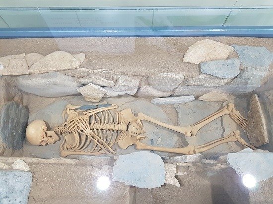 한반도 청동기 시대 고인돌에서 백인 추정 유골?