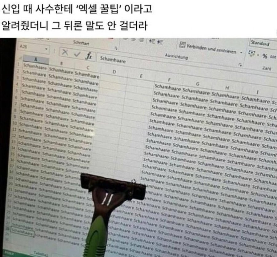 신입이 배워왔다는 엑셀 꿀팁