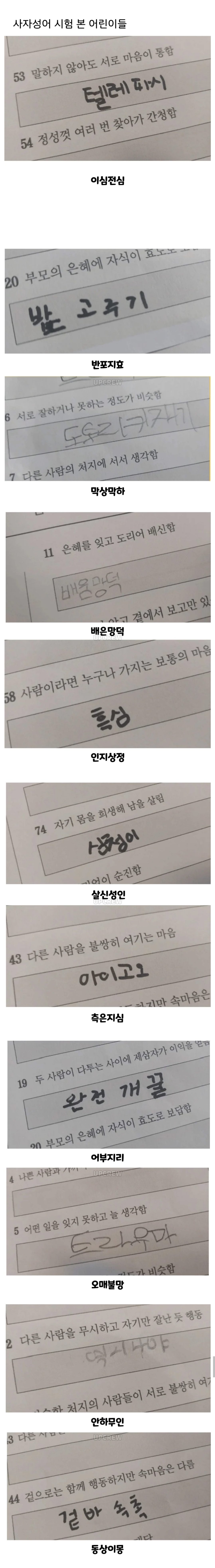 사자성어 시험본 초등학생들