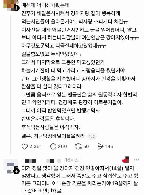 강아지에게 배달음식을 먹인 이유