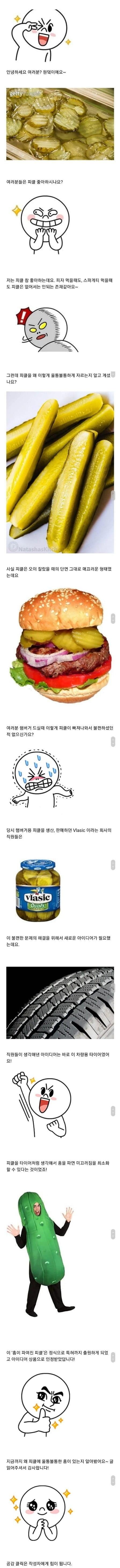 피클을 울퉁불퉁하게 자르는 이유