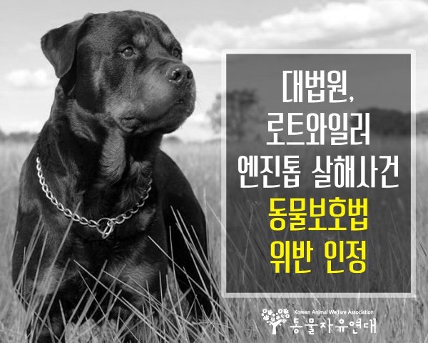 민법 개정안에 이게 왜 있어? 난 절대 반댈세