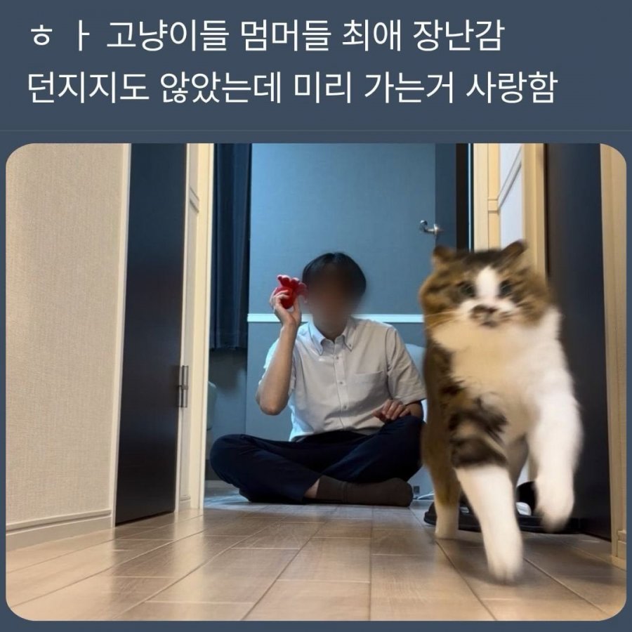 미치도록 귀엽다 진짜