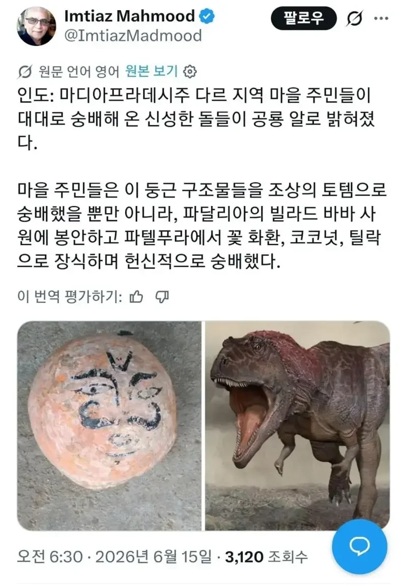 인도 모 지역에서 대대로 숭배하던 돌의 정체