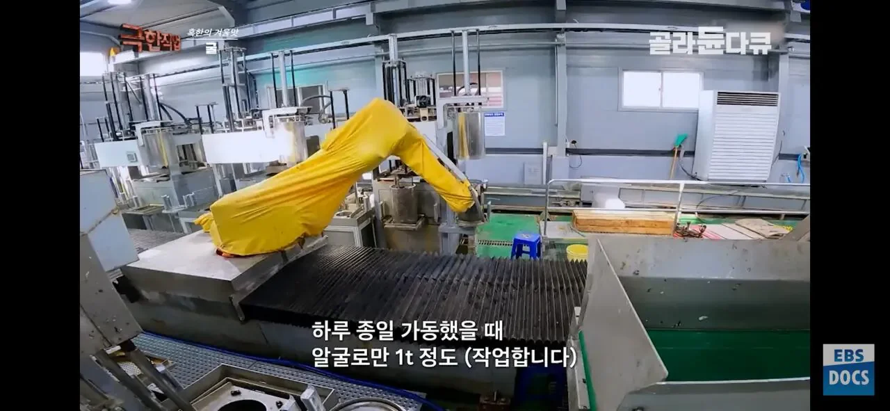굴 까는것도 자동화 시대