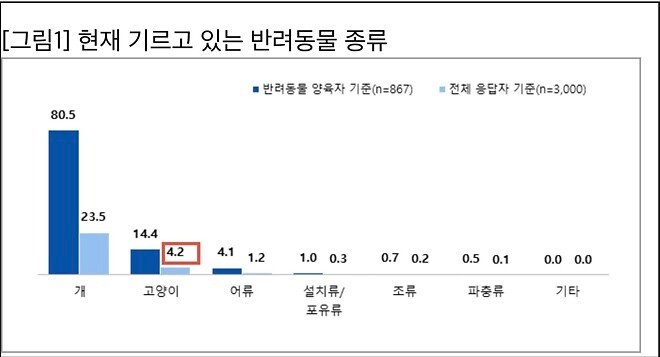 길냥이도 집냥이도 반토막? 고양이에게 대체 무슨 일이?