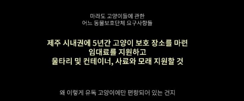 멸종위기 맹꽁이 서식지에 지자체가 벌인 일