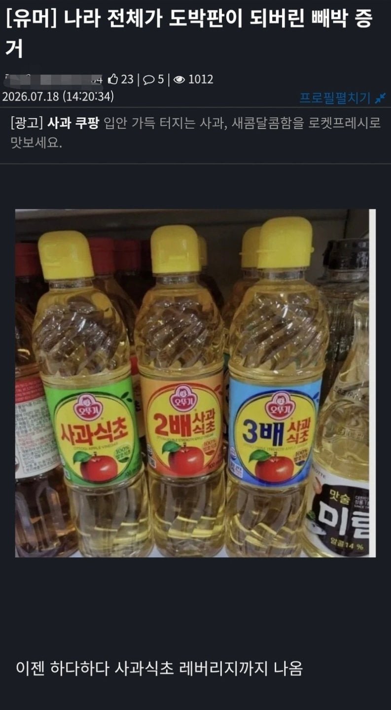 대한민국이 도박판이 되었다는 증거