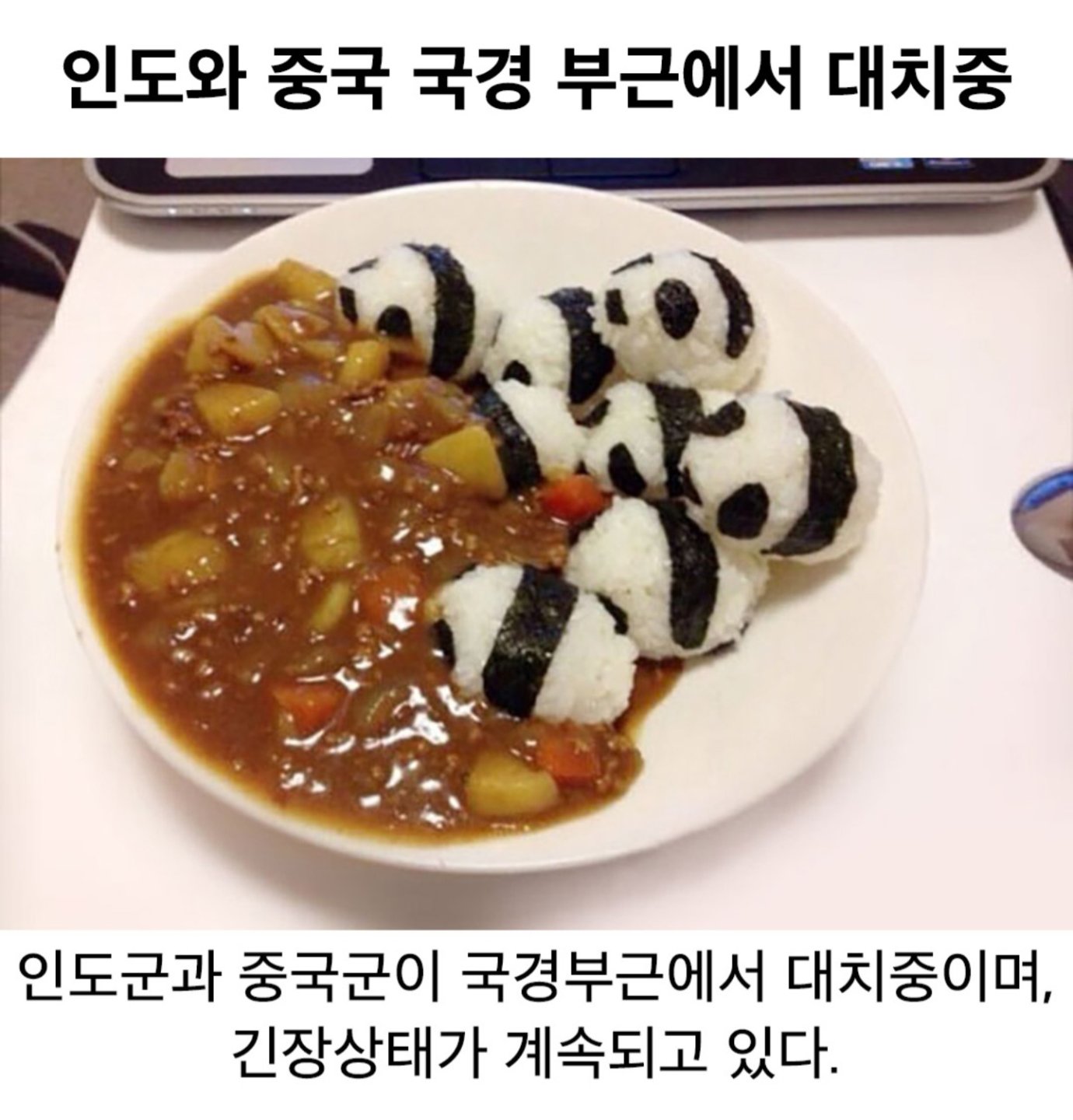 인도와 중국 국경 부근에서 대치중