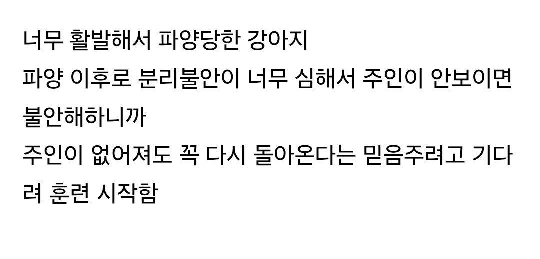 기다려대회 1등한 강아지