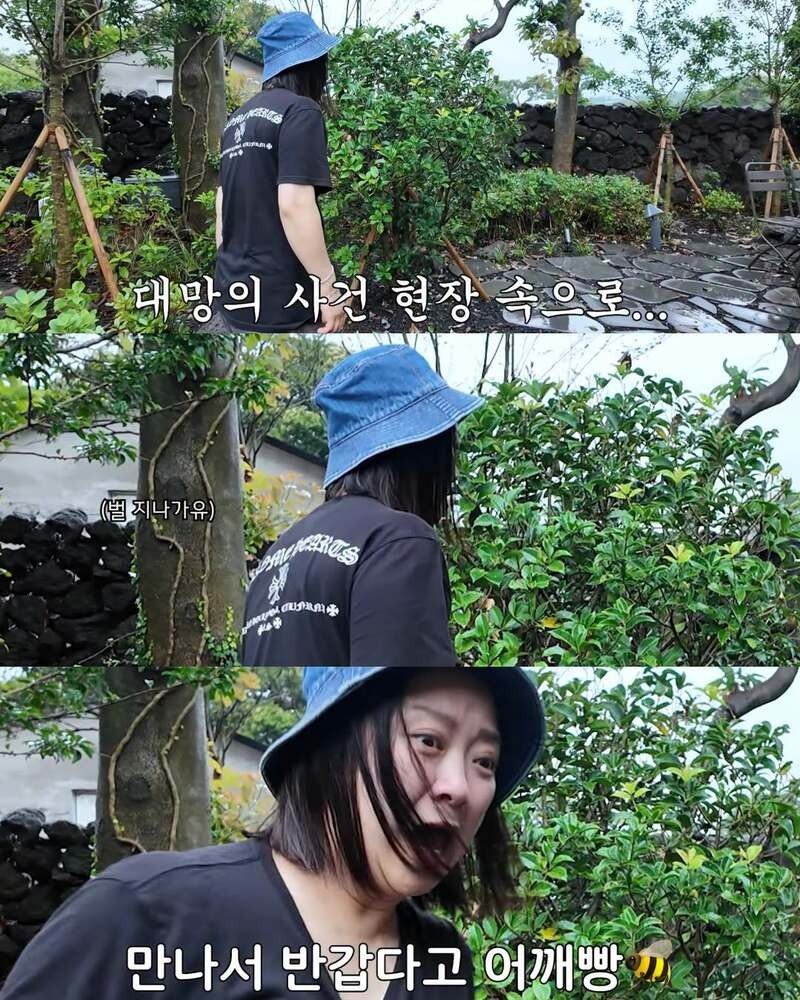 2주만에 제주도 집 갔다 119 부른 김숙