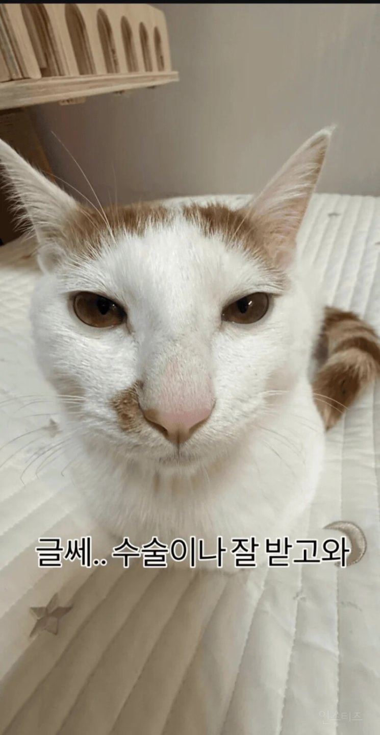형아 ! 나 드디어 눈 기증받게 됐대 !!!