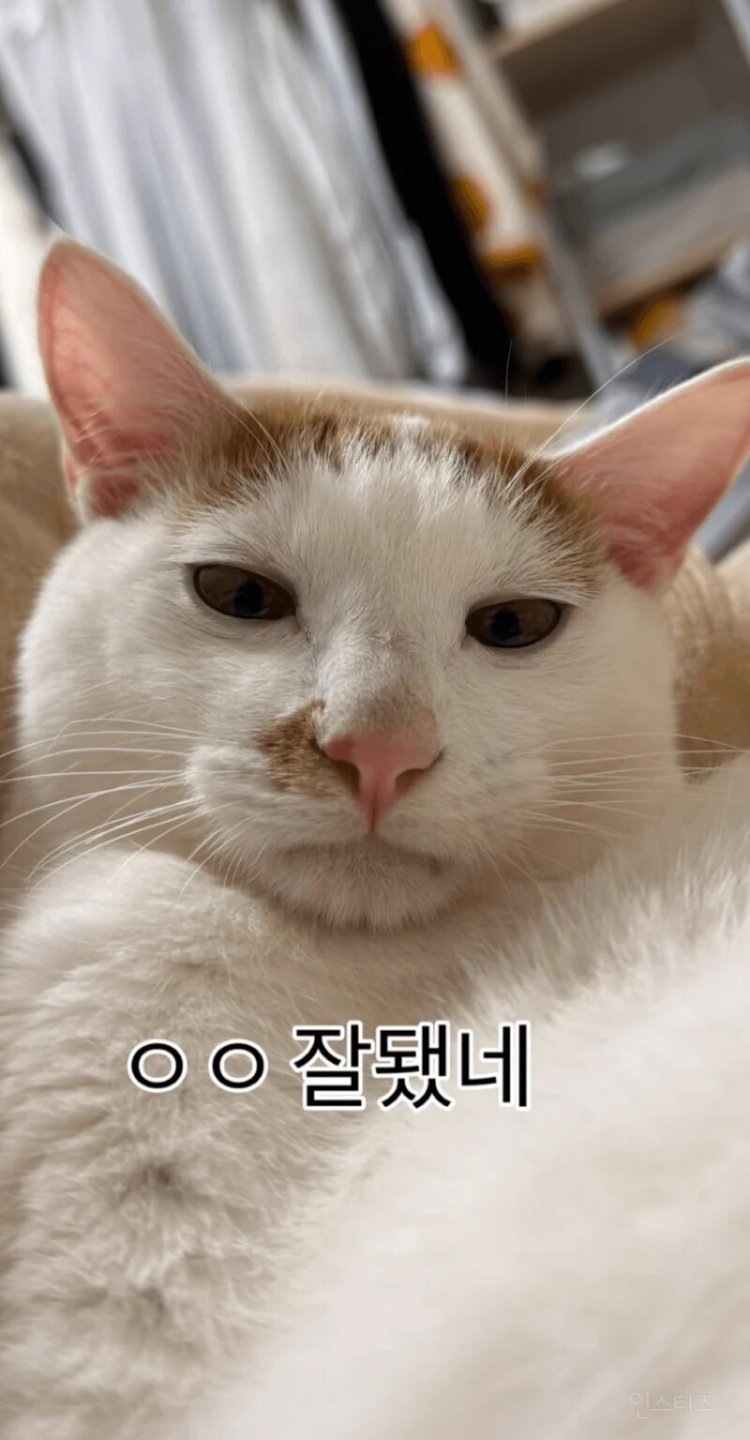 형아 ! 나 드디어 눈 기증받게 됐대 !!!