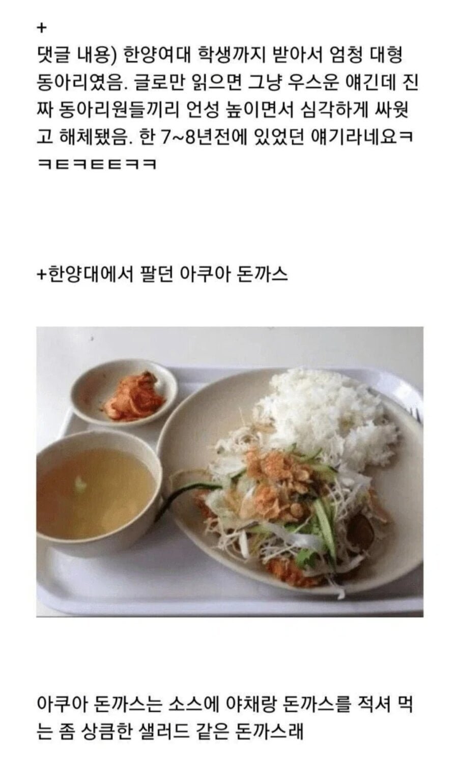 한양대 아쿠아 돈까스 사건