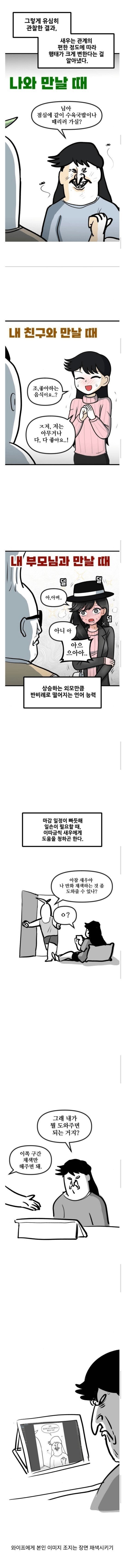 본인 와이프를 관찰하고 그린 웹툰
