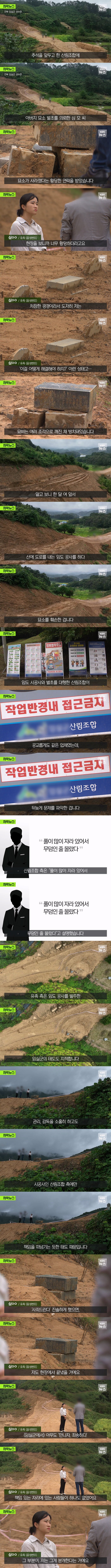 아버지 묘소가 사라졌다고 연락받은 사람.jpg