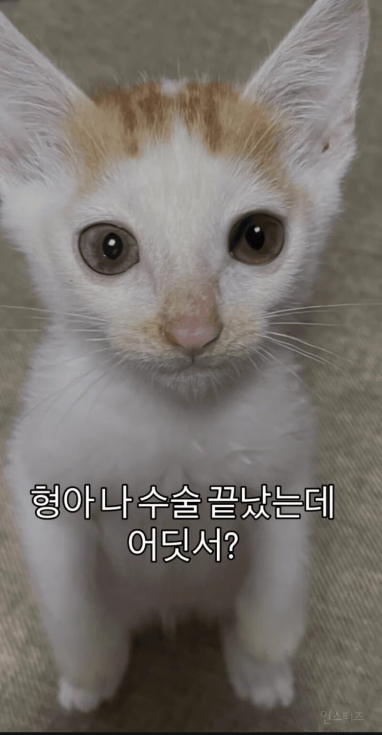 형아 ! 나 드디어 눈 기증받게 됐대 !!!
