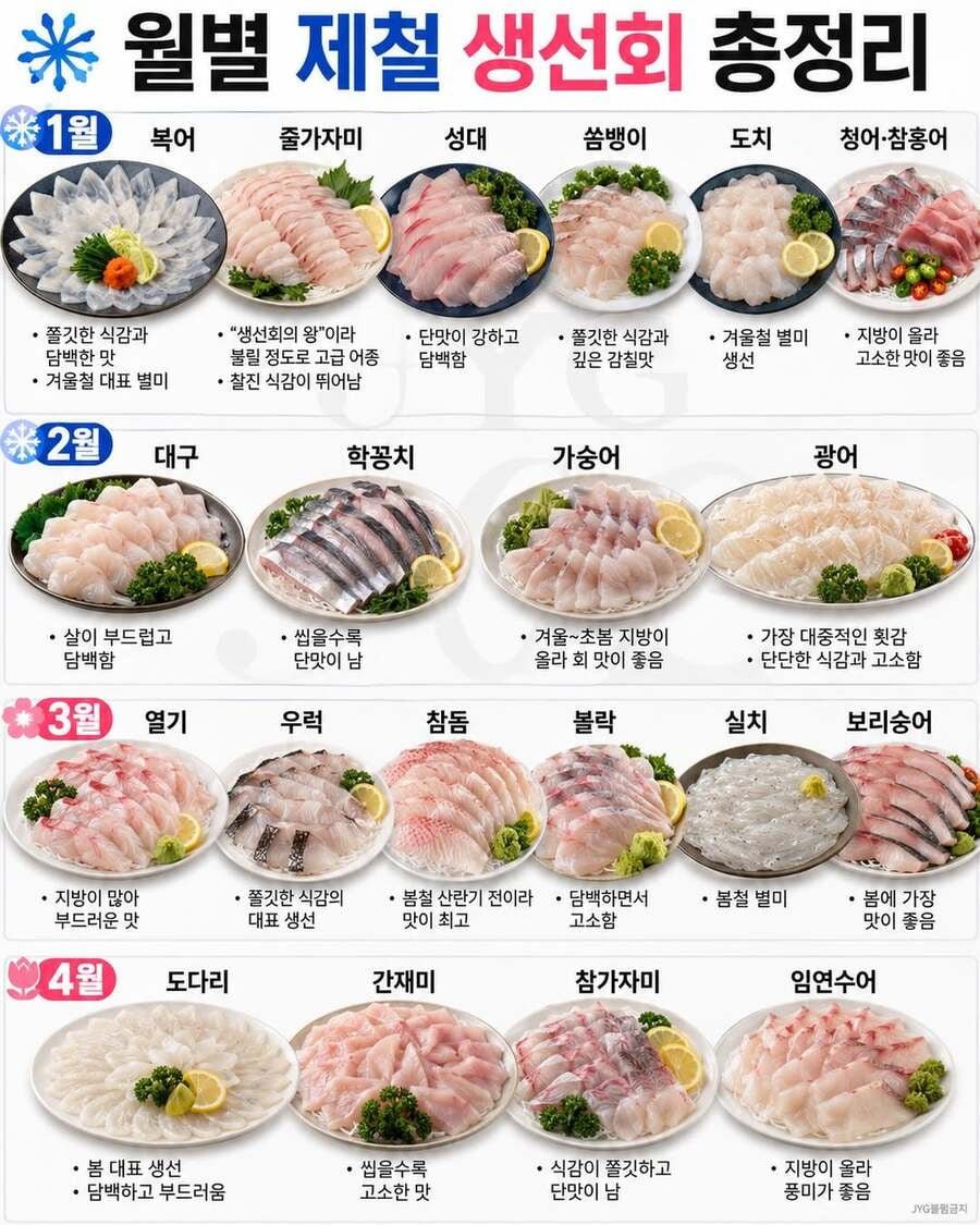 월별 제철 생선회 총정리