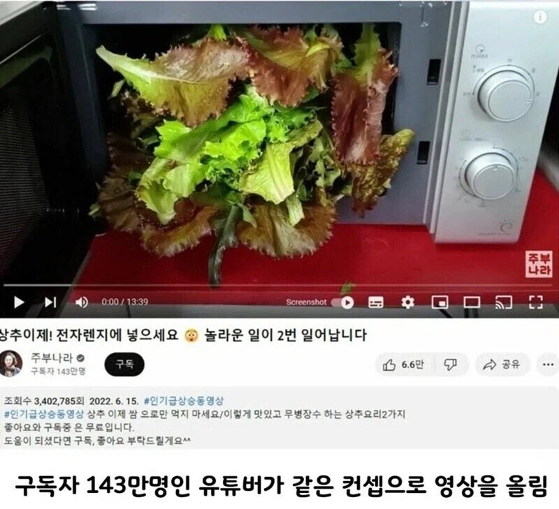 97만 유튜버 영상 카피 한 143만 유투버