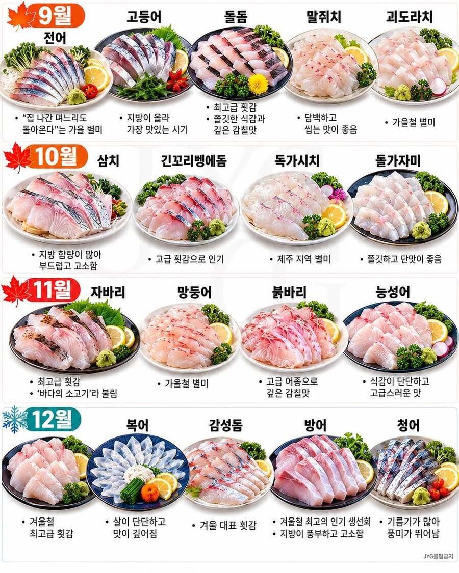 월별 제철 생선회 총정리