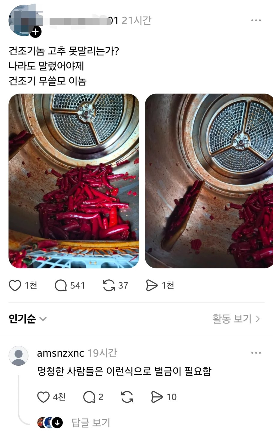잘 익은 고추를 빠르게 말리기 위해 남자가 선택한 수단